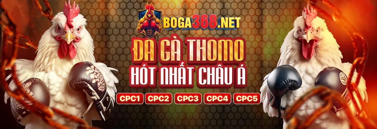 Các loại kèo cược Đá Gà tina68